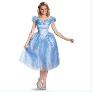 Cinderella Costume